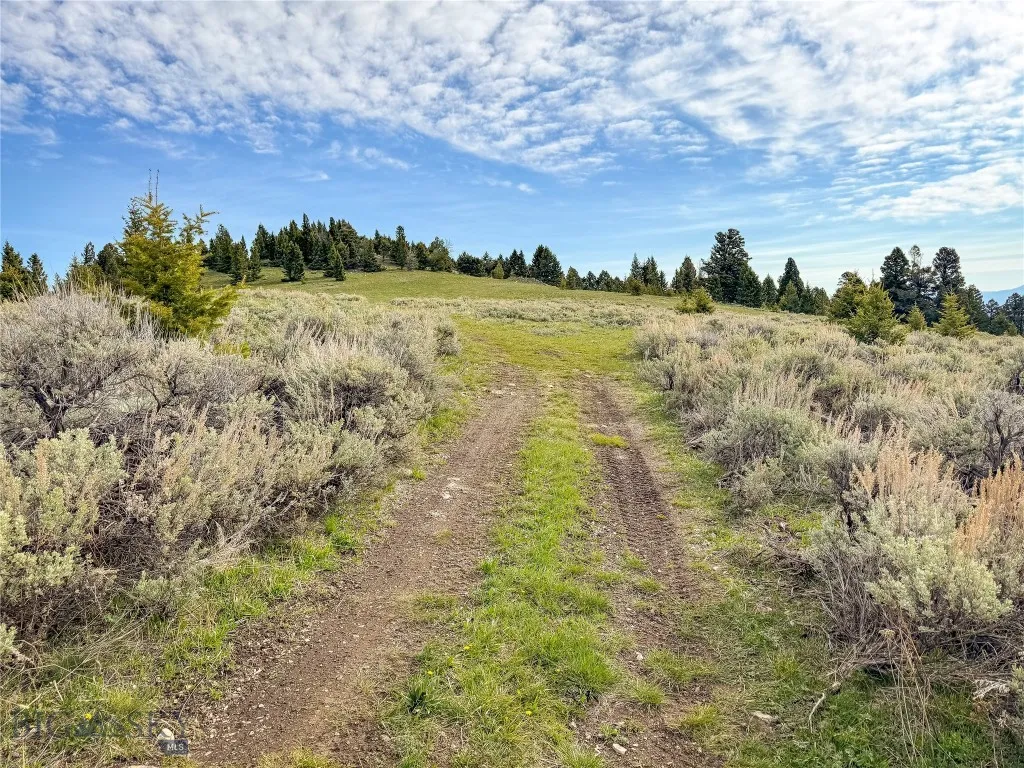 Tbd (58+/- Acres) Ottawa Gulch Road, Canyon Creek, Canyon Creek, Montana 59633, ,Land,For Sale,Tbd (58+/- Acres) Ottawa Gulch Road, Canyon Creek,403417