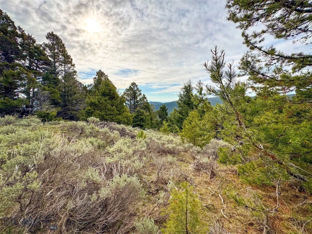 Tbd (58+/- Acres) Ottawa Gulch Road, Canyon Creek, Canyon Creek, Montana 59633, ,Land,For Sale,Tbd (58+/- Acres) Ottawa Gulch Road, Canyon Creek,403417