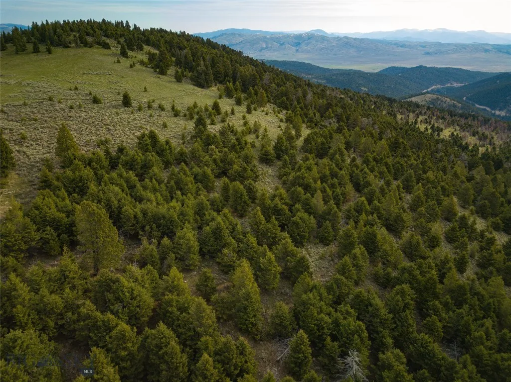 Tbd (58+/- Acres) Ottawa Gulch Road, Canyon Creek, Canyon Creek, Montana 59633, ,Land,For Sale,Tbd (58+/- Acres) Ottawa Gulch Road, Canyon Creek,403417