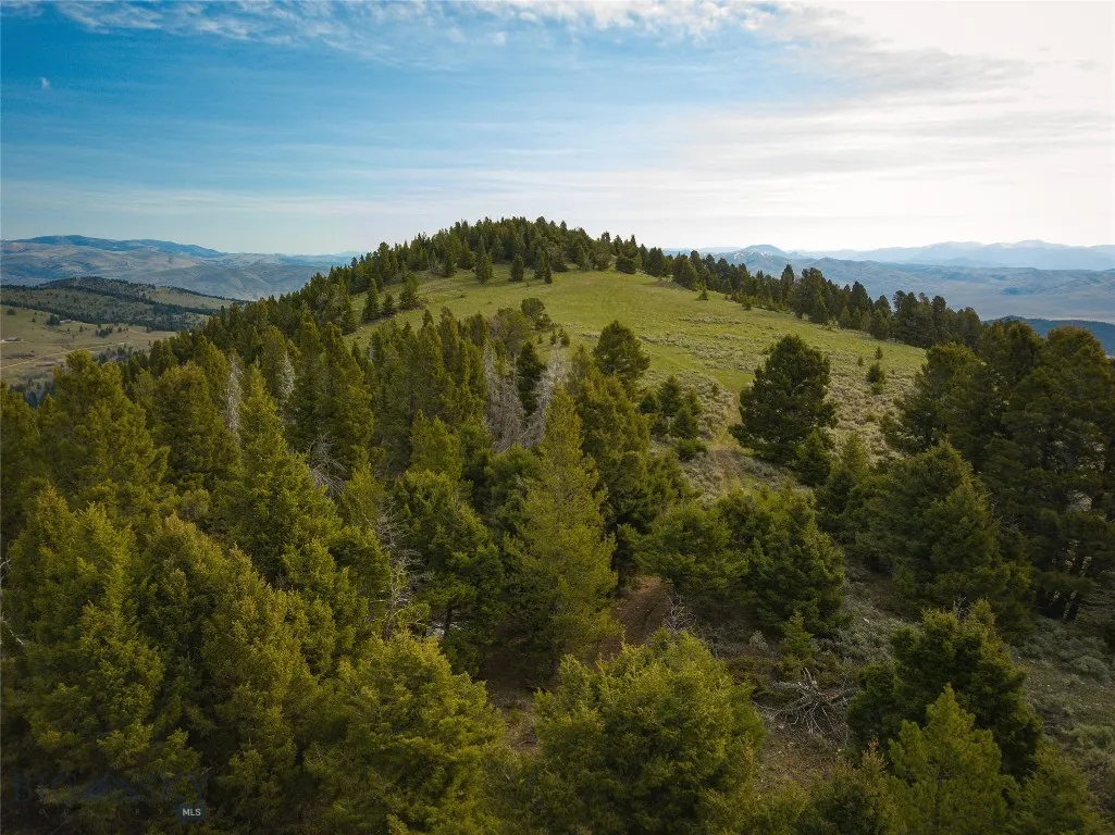 Tbd (58+/- Acres) Ottawa Gulch Road, Canyon Creek, Canyon Creek, Montana 59633, ,Land,For Sale,Tbd (58+/- Acres) Ottawa Gulch Road, Canyon Creek,403417