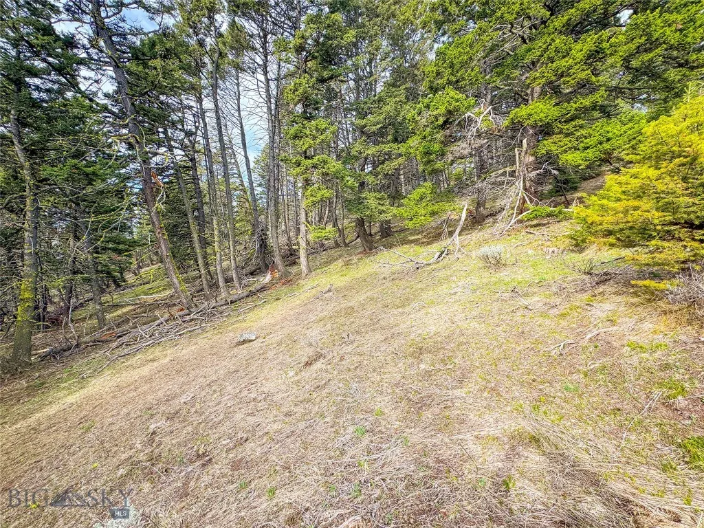 Tbd (58+/- Acres) Ottawa Gulch Road, Canyon Creek, Canyon Creek, Montana 59633, ,Land,For Sale,Tbd (58+/- Acres) Ottawa Gulch Road, Canyon Creek,403417