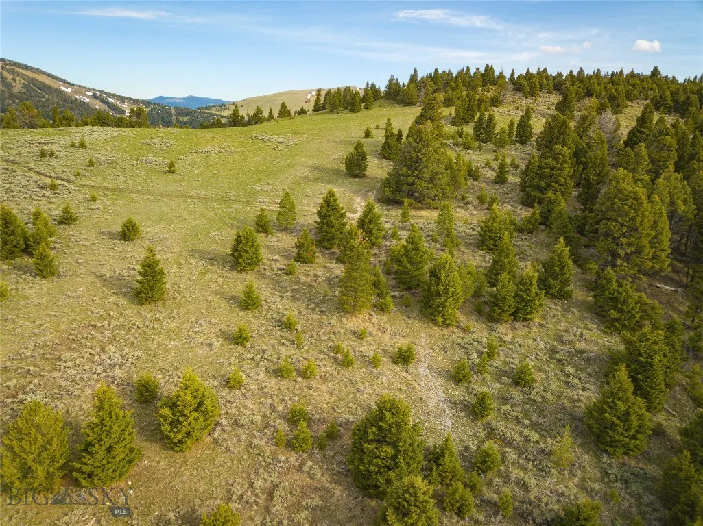 Tbd (58+/- Acres) Ottawa Gulch Road, Canyon Creek, Canyon Creek, Montana 59633, ,Land,For Sale,Tbd (58+/- Acres) Ottawa Gulch Road, Canyon Creek,403417