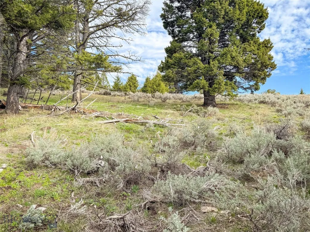 Tbd (58+/- Acres) Ottawa Gulch Road, Canyon Creek, Canyon Creek, Montana 59633, ,Land,For Sale,Tbd (58+/- Acres) Ottawa Gulch Road, Canyon Creek,403417