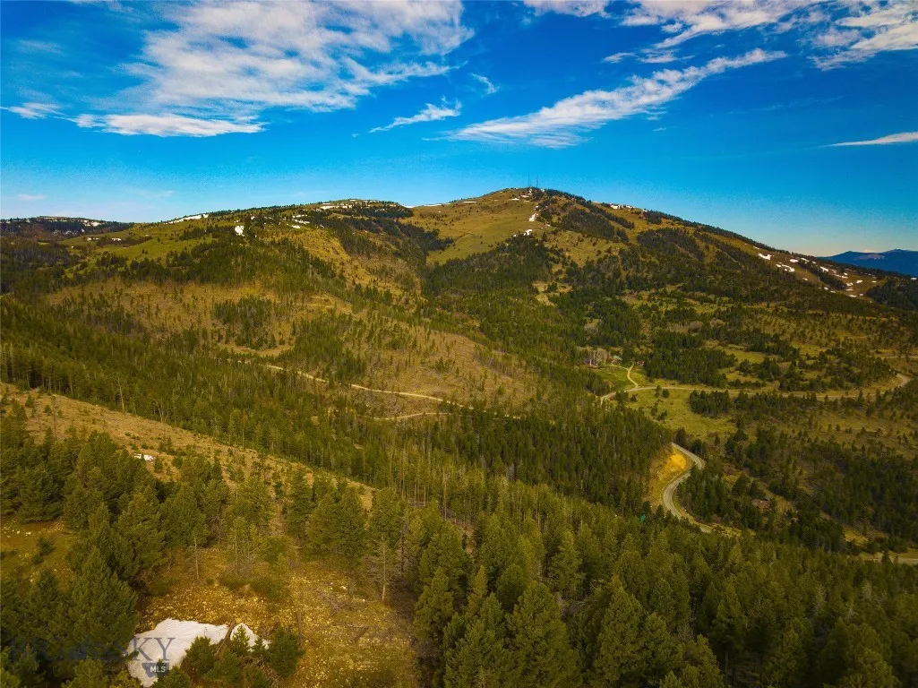 Tbd (58+/- Acres) Ottawa Gulch Road, Canyon Creek, Canyon Creek, Montana 59633, ,Land,For Sale,Tbd (58+/- Acres) Ottawa Gulch Road, Canyon Creek,403417