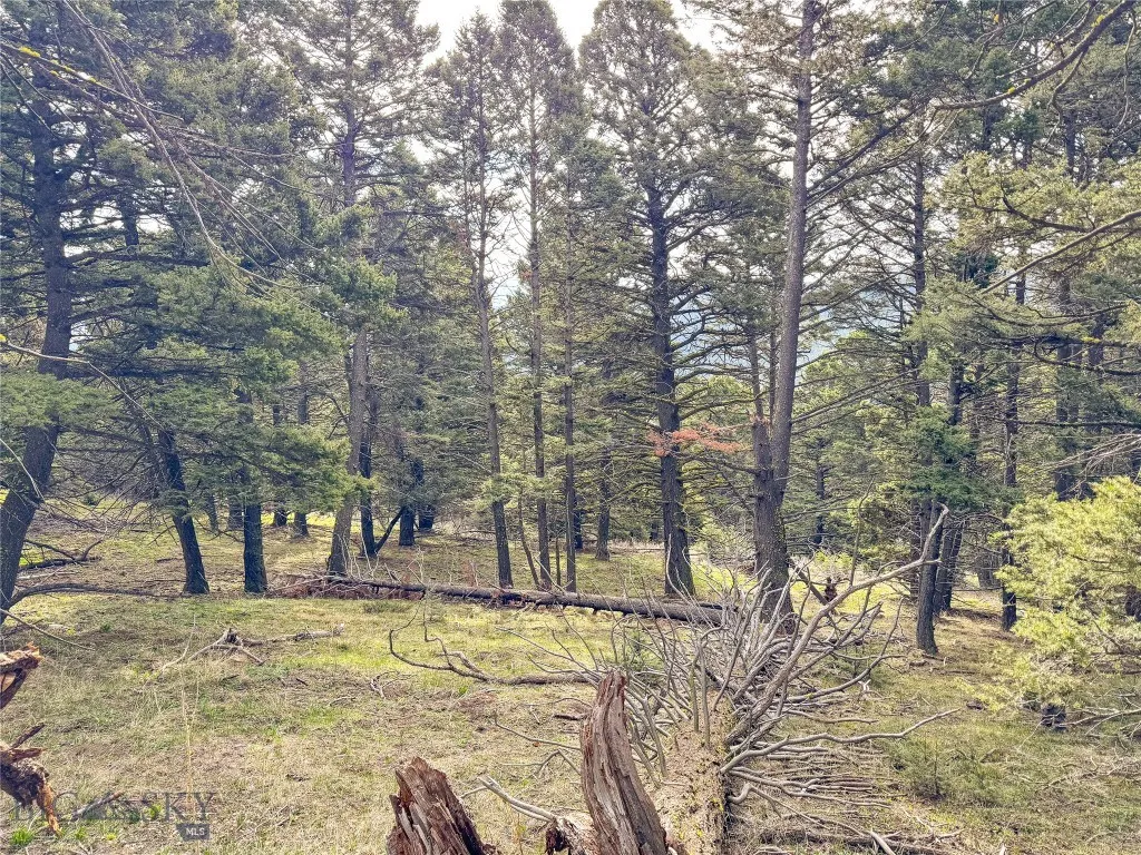 Tbd (58+/- Acres) Ottawa Gulch Road, Canyon Creek, Canyon Creek, Montana 59633, ,Land,For Sale,Tbd (58+/- Acres) Ottawa Gulch Road, Canyon Creek,403417