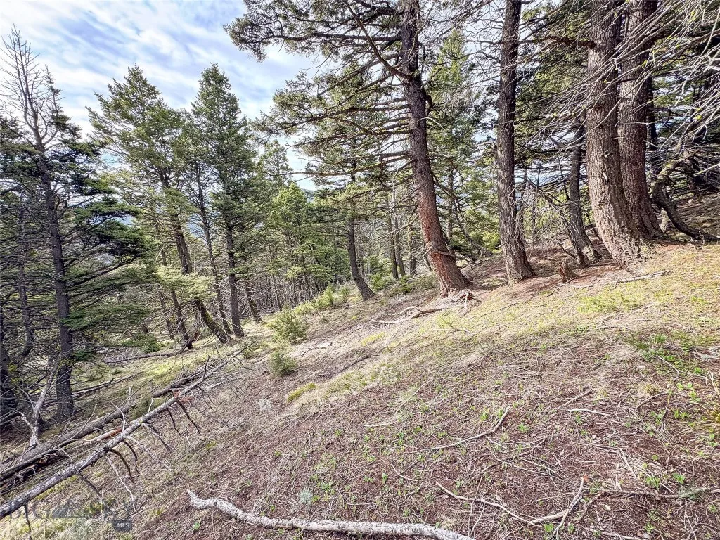 Tbd (58+/- Acres) Ottawa Gulch Road, Canyon Creek, Canyon Creek, Montana 59633, ,Land,For Sale,Tbd (58+/- Acres) Ottawa Gulch Road, Canyon Creek,403417