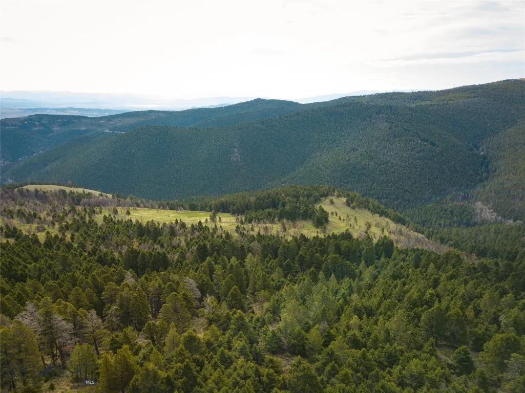 Tbd (58+/- Acres) Ottawa Gulch Road, Canyon Creek, Canyon Creek, Montana 59633, ,Land,For Sale,Tbd (58+/- Acres) Ottawa Gulch Road, Canyon Creek,403417
