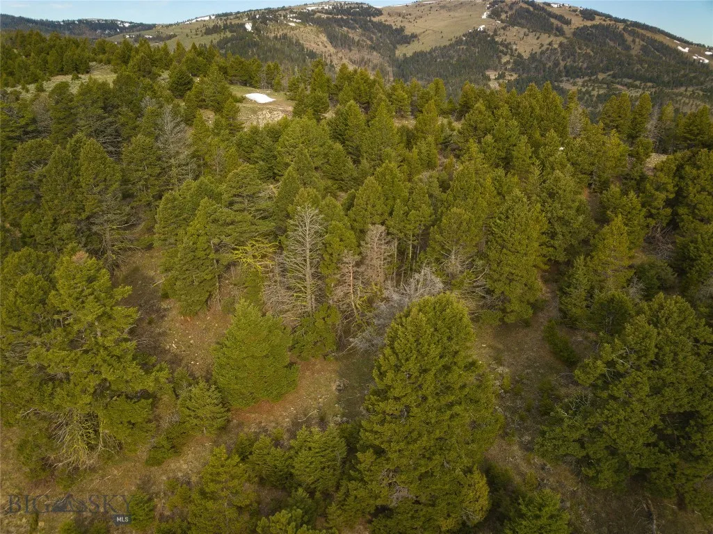 Tbd (58+/- Acres) Ottawa Gulch Road, Canyon Creek, Canyon Creek, Montana 59633, ,Land,For Sale,Tbd (58+/- Acres) Ottawa Gulch Road, Canyon Creek,403417