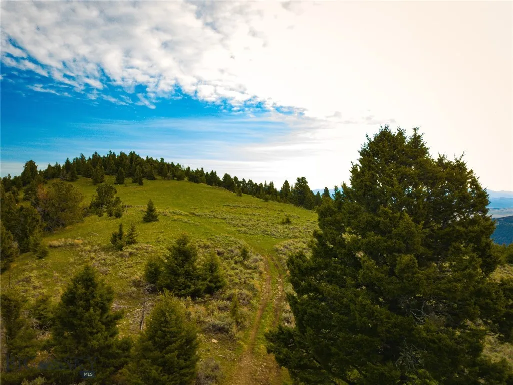 Tbd (58+/- Acres) Ottawa Gulch Road, Canyon Creek, Canyon Creek, Montana 59633, ,Land,For Sale,Tbd (58+/- Acres) Ottawa Gulch Road, Canyon Creek,403417