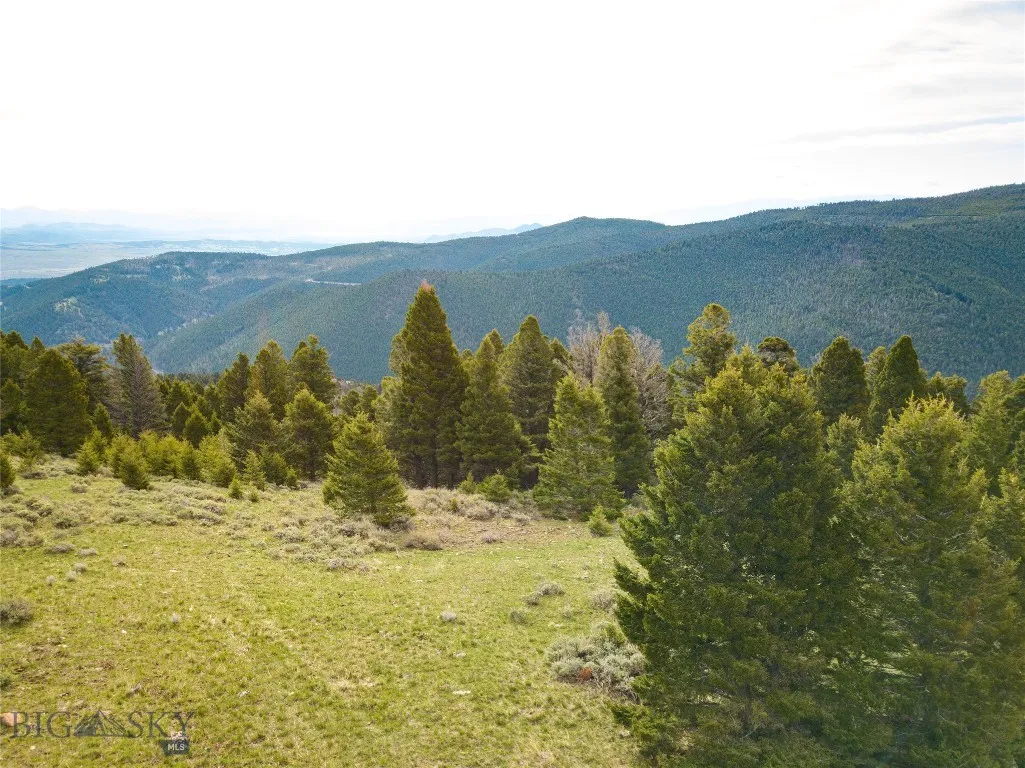 Tbd (58+/- Acres) Ottawa Gulch Road, Canyon Creek, Canyon Creek, Montana 59633, ,Land,For Sale,Tbd (58+/- Acres) Ottawa Gulch Road, Canyon Creek,403417