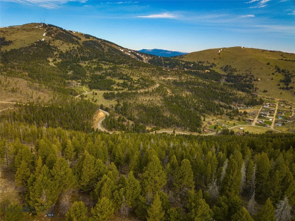 Tbd (58+/- Acres) Ottawa Gulch Road, Canyon Creek, Canyon Creek, Montana 59633, ,Land,For Sale,Tbd (58+/- Acres) Ottawa Gulch Road, Canyon Creek,403417