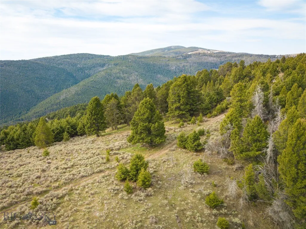 Tbd (58+/- Acres) Ottawa Gulch Road, Canyon Creek, Canyon Creek, Montana 59633, ,Land,For Sale,Tbd (58+/- Acres) Ottawa Gulch Road, Canyon Creek,403417