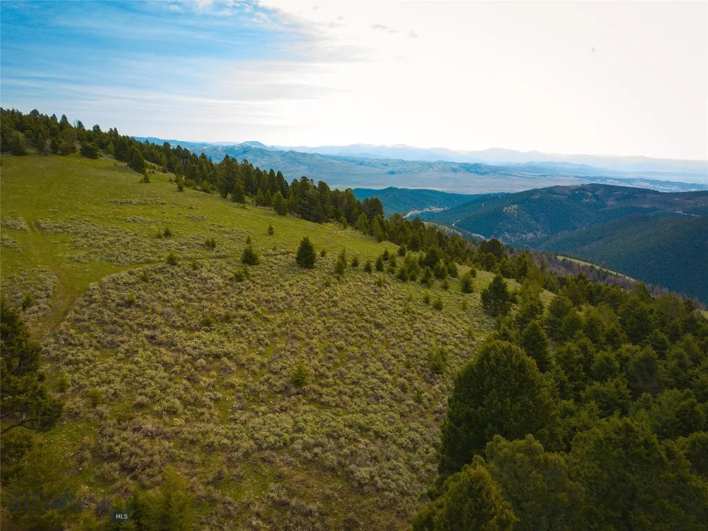 Tbd (58+/- Acres) Ottawa Gulch Road, Canyon Creek, Canyon Creek, Montana 59633, ,Land,For Sale,Tbd (58+/- Acres) Ottawa Gulch Road, Canyon Creek,403417