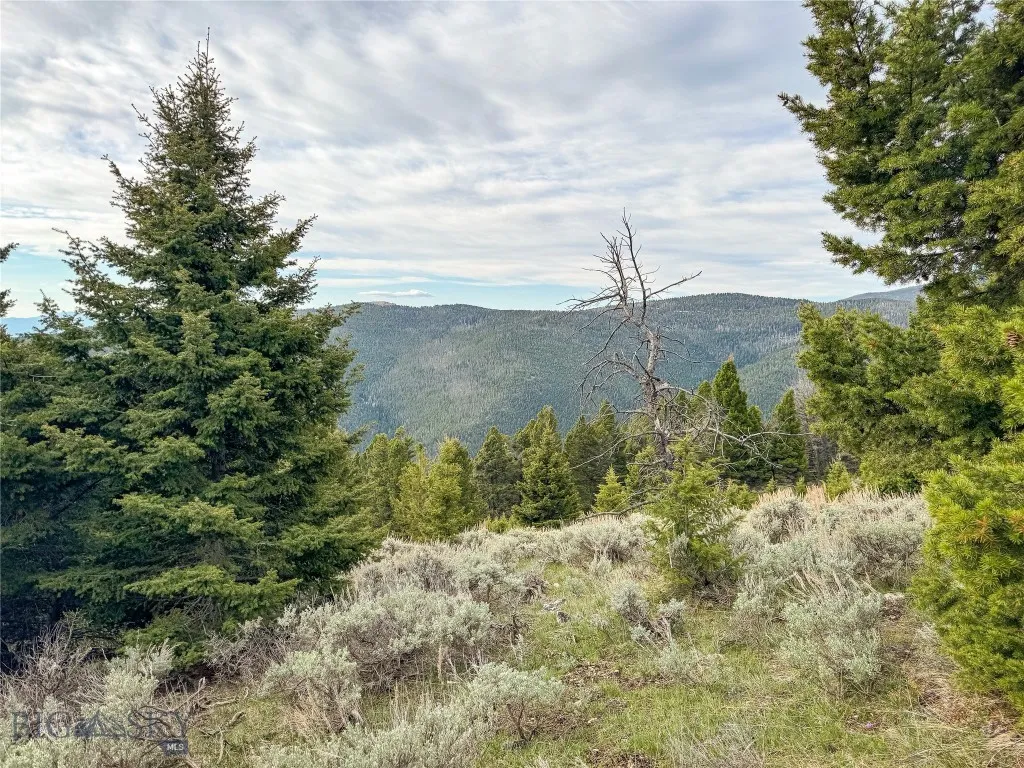 Tbd (58+/- Acres) Ottawa Gulch Road, Canyon Creek, Canyon Creek, Montana 59633, ,Land,For Sale,Tbd (58+/- Acres) Ottawa Gulch Road, Canyon Creek,403417