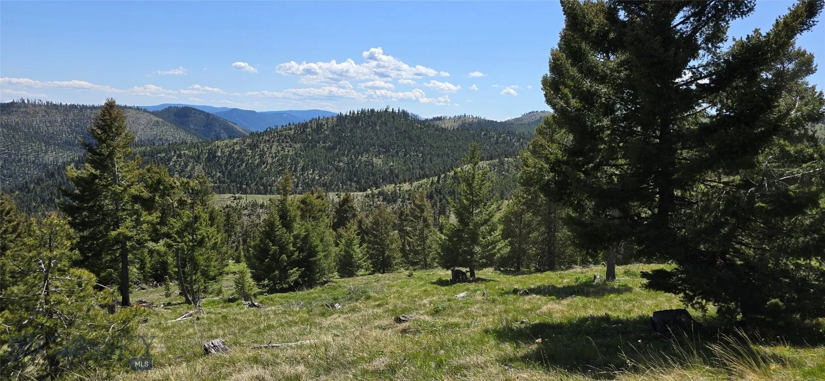 9 Garnet Range Tract, Drummond, Montana 59832, Drummond, Montana 59832, ,Land,For Sale,9 Garnet Range Tract, Drummond, Montana 59832,403421