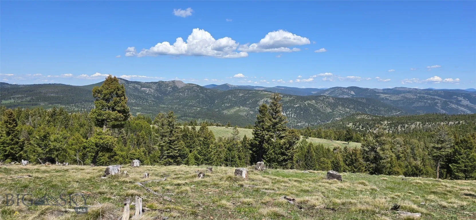 9 Garnet Range Tract, Drummond, Montana 59832, Drummond, Montana 59832, ,Land,For Sale,9 Garnet Range Tract, Drummond, Montana 59832,403421
