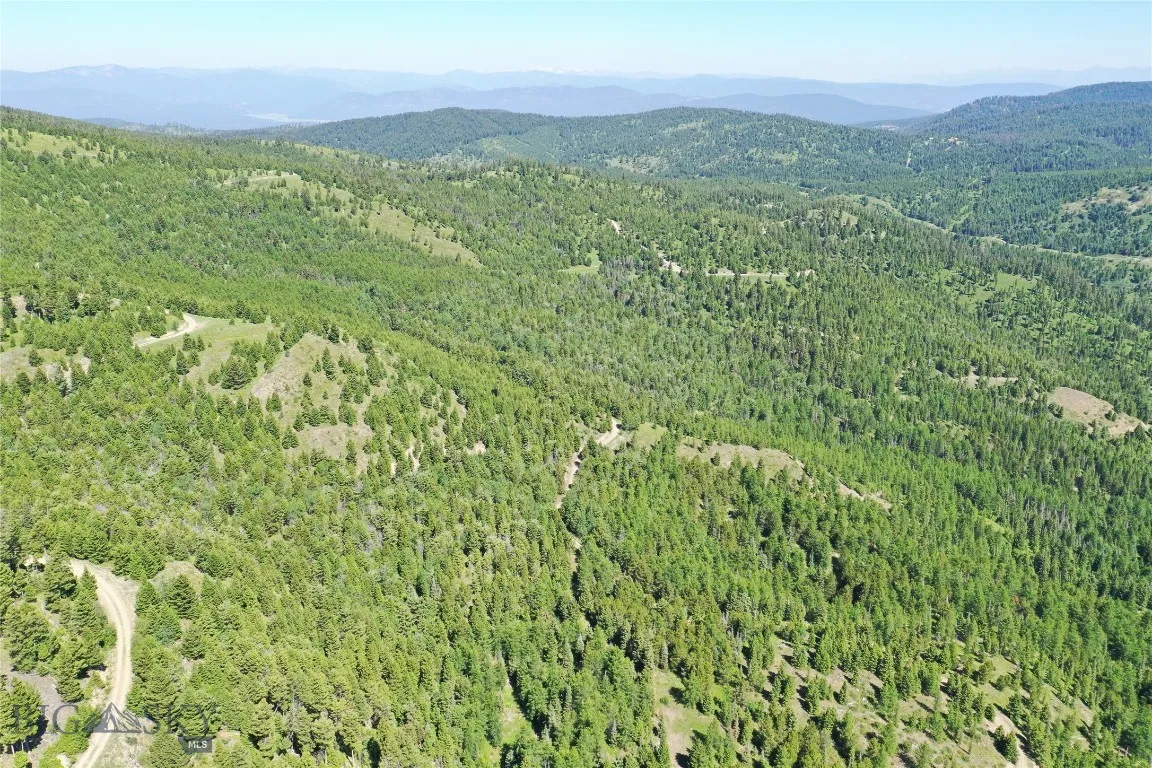 9 Garnet Range Tract, Drummond, Montana 59832, Drummond, Montana 59832, ,Land,For Sale,9 Garnet Range Tract, Drummond, Montana 59832,403421