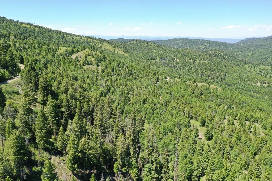 10 Garnet Range Tract, Drummond, Montana 59832, Drummond, Montana 59832, ,Land,For Sale,10 Garnet Range Tract, Drummond, Montana 59832,403422