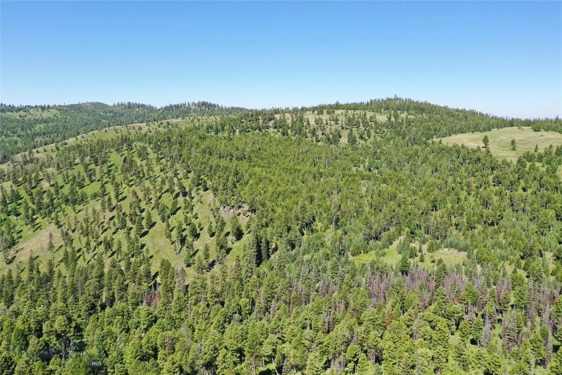 11 Tract Garnet Range, Drummond, Montana 59832, Drummond, Montana 59832, ,Land,For Sale,11 Tract Garnet Range, Drummond, Montana 59832,403423