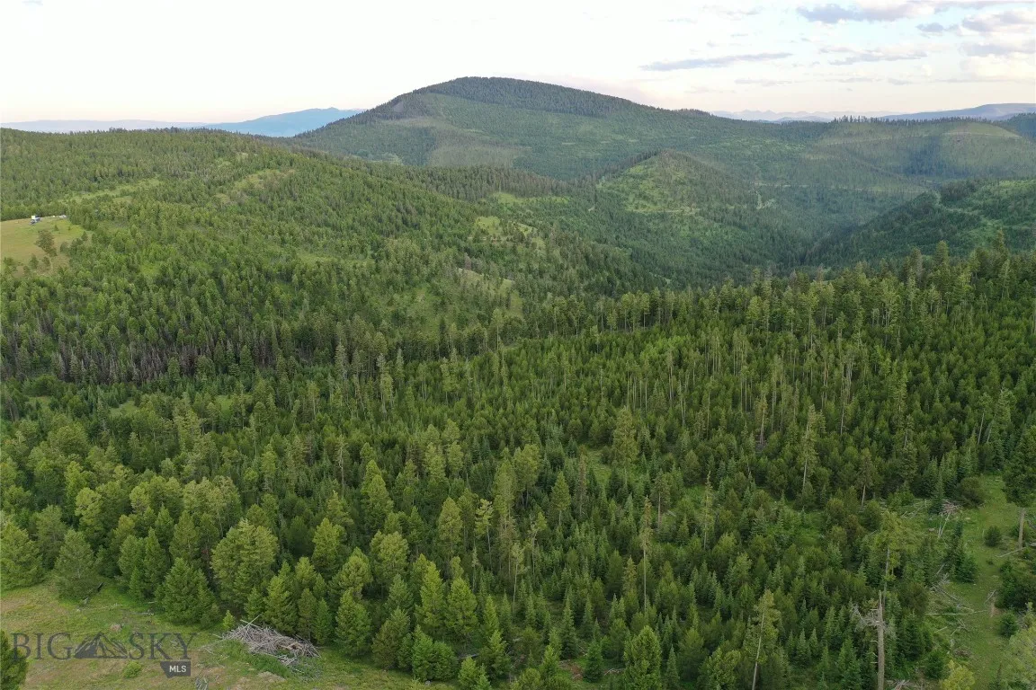 11 Tract Garnet Range, Drummond, Montana 59832, Drummond, Montana 59832, ,Land,For Sale,11 Tract Garnet Range, Drummond, Montana 59832,403423