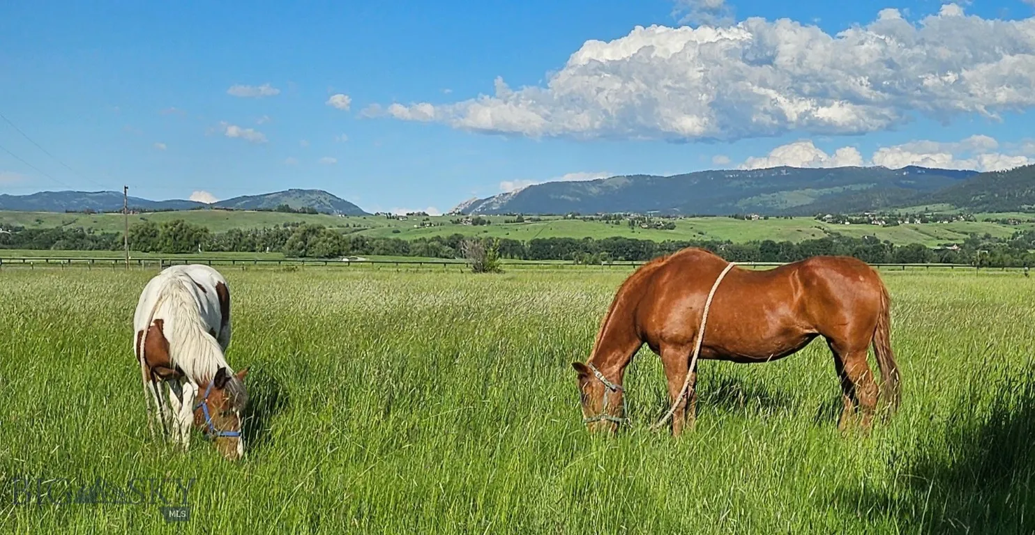 Lush Front Pasture