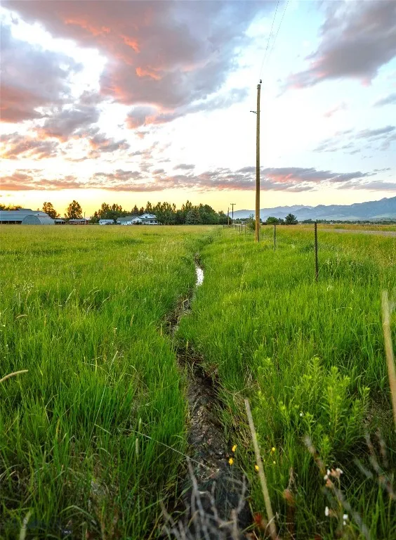 Seasonal Ditch!