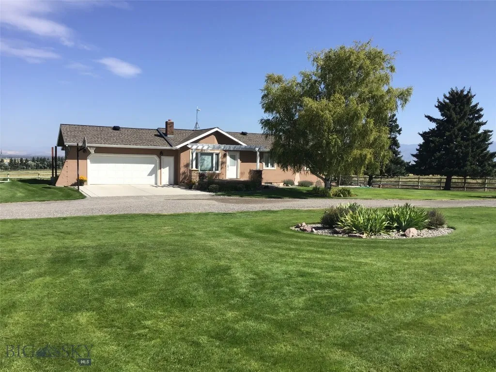 Front Yard in Summer