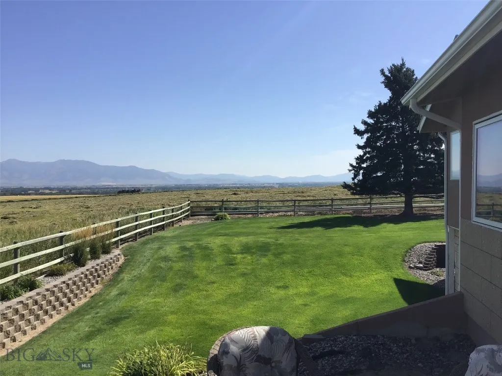 Backyard in Summer