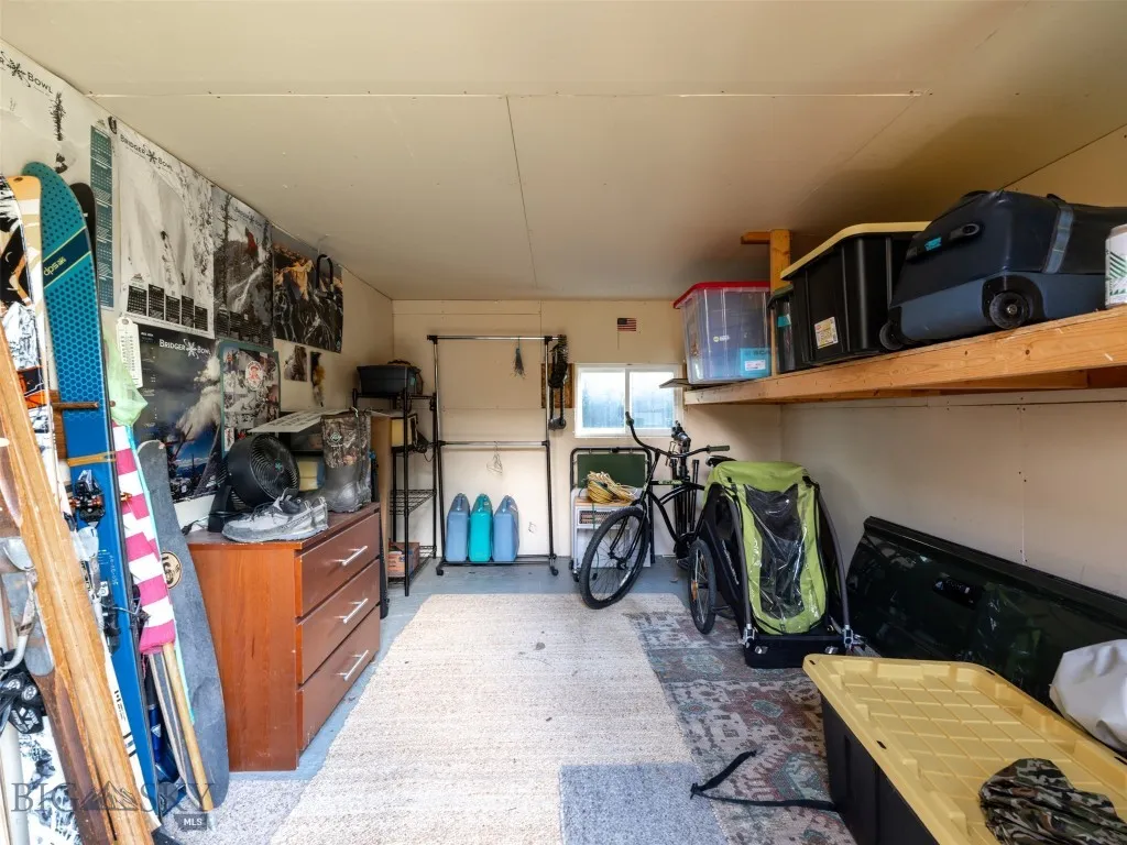 Shed in backyard
