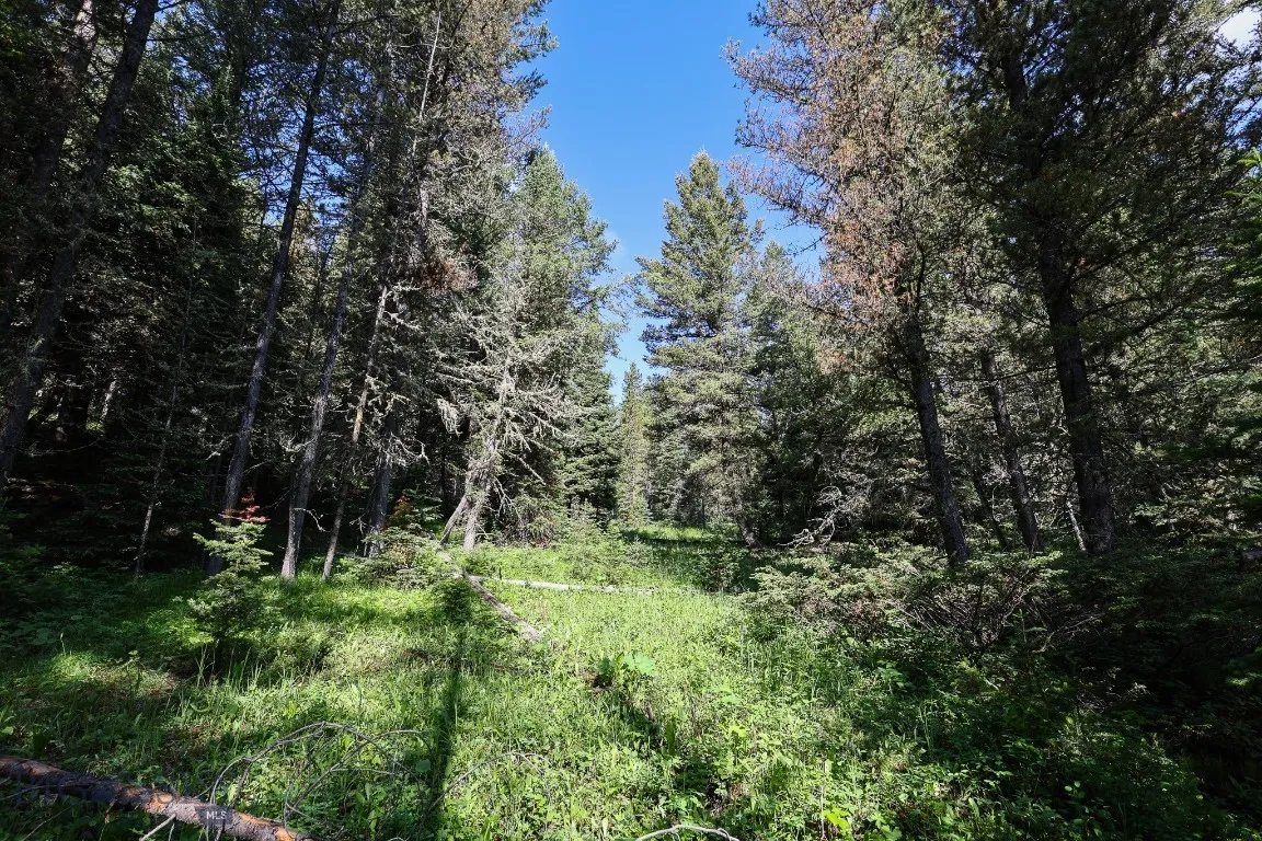 Tbd Crown Butte, Big Sky, Montana 59716, Big Sky, Montana 59716, ,Land,For Sale,Tbd Crown Butte, Big Sky, Montana 59716,403515