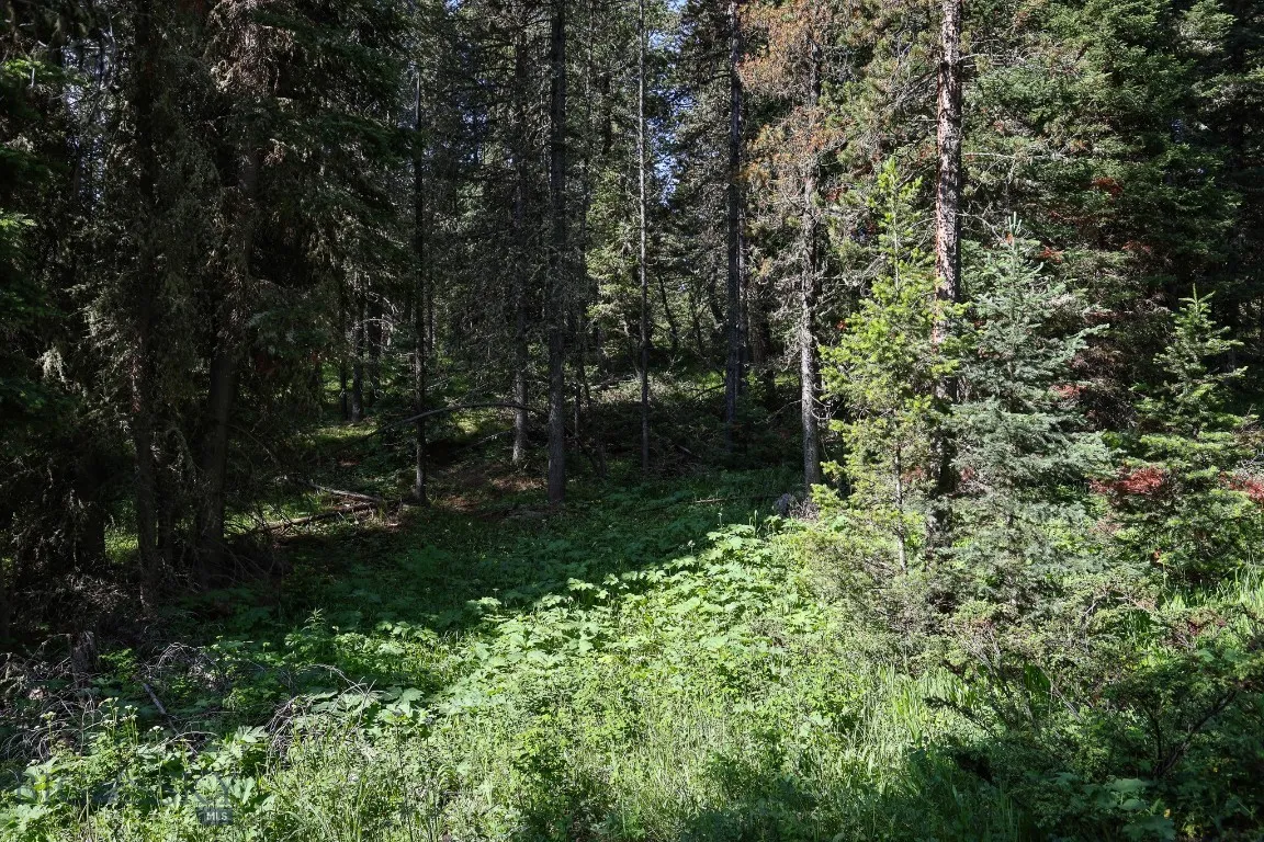 Tbd Crown Butte, Big Sky, Montana 59716, Big Sky, Montana 59716, ,Land,For Sale,Tbd Crown Butte, Big Sky, Montana 59716,403515