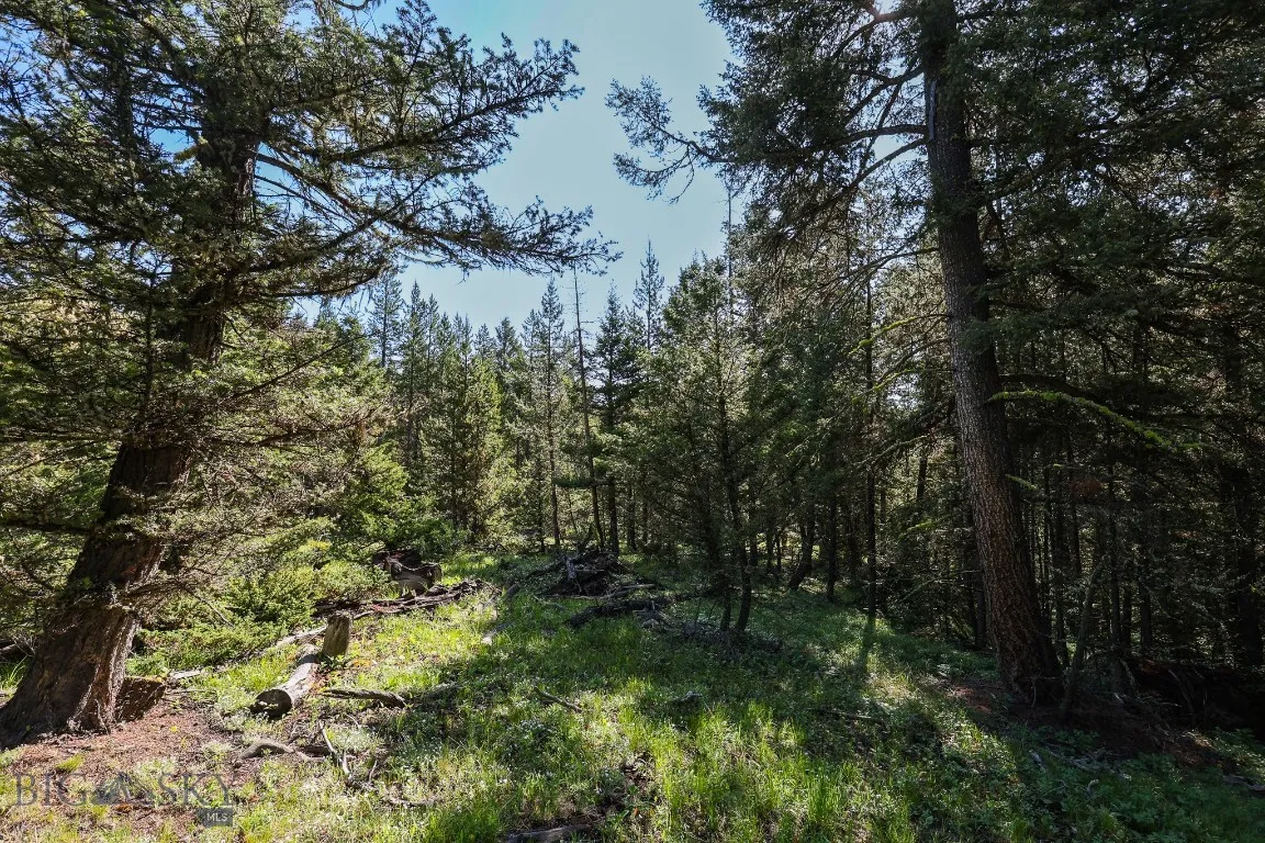 Tbd Crown Butte, Big Sky, Montana 59716, Big Sky, Montana 59716, ,Land,For Sale,Tbd Crown Butte, Big Sky, Montana 59716,403515