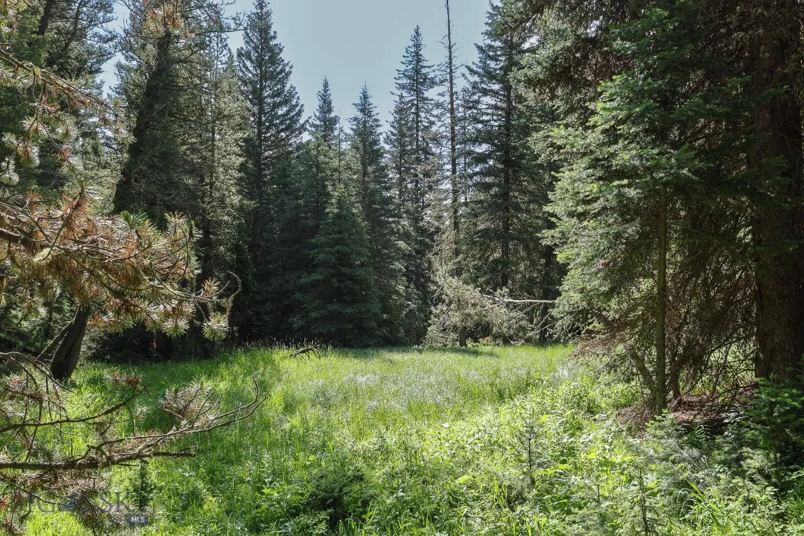Tbd Crown Butte, Big Sky, Montana 59716, Big Sky, Montana 59716, ,Land,For Sale,Tbd Crown Butte, Big Sky, Montana 59716,403515