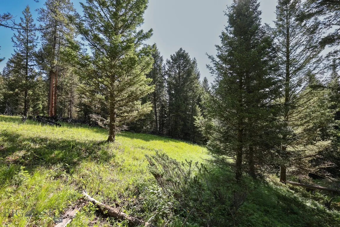 Tbd Crown Butte, Big Sky, Montana 59716, Big Sky, Montana 59716, ,Land,For Sale,Tbd Crown Butte, Big Sky, Montana 59716,403515
