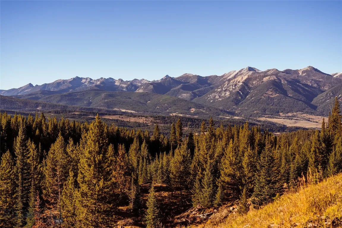 Spanish Peaks views in your face!