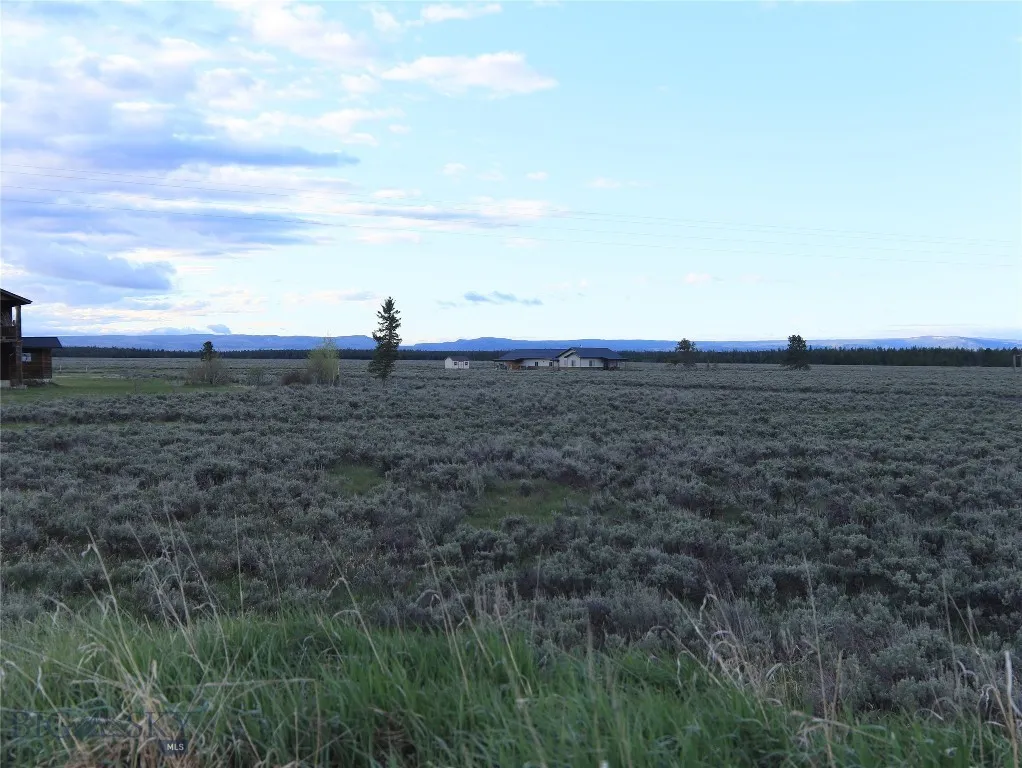 Nnn Catfish Lane, West Yellowstone, Montana 59758, West Yellowstone, Montana 59758, ,Land,For Sale,Nnn Catfish Lane, West Yellowstone, Montana 59758,403555