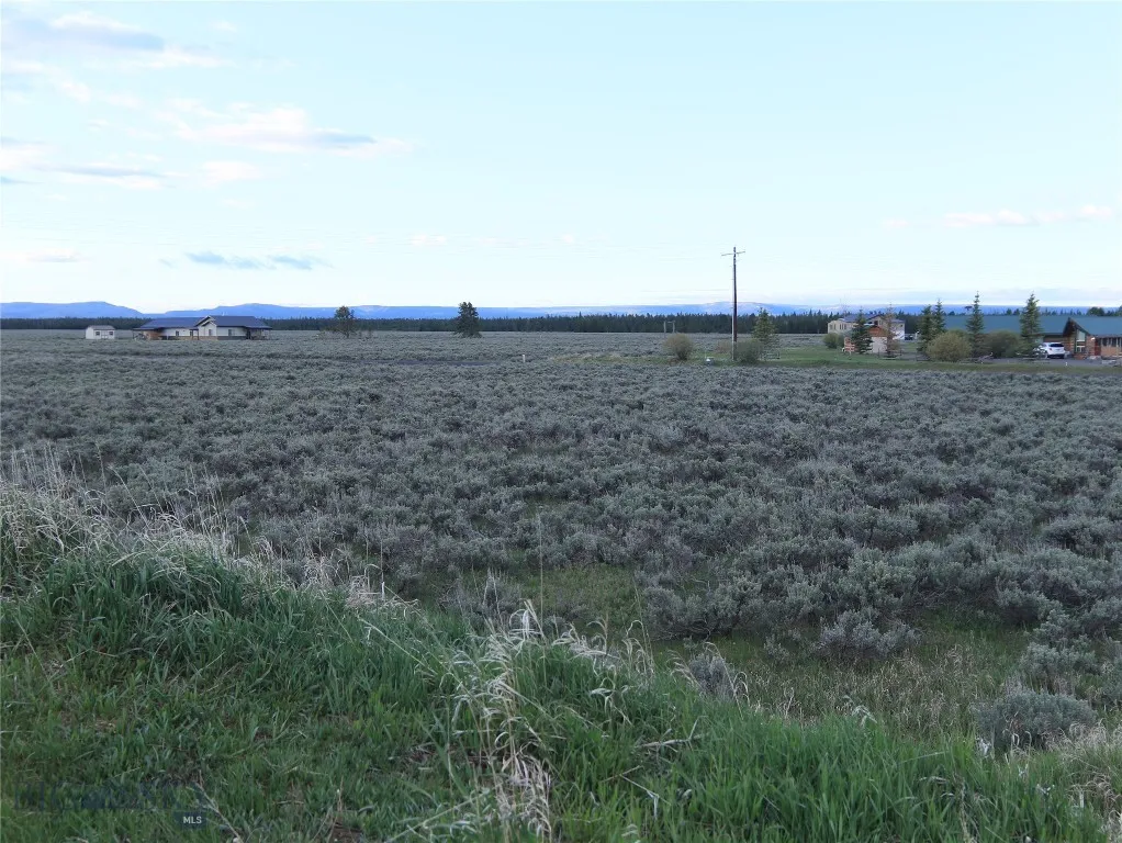 Nnn Catfish Lane, West Yellowstone, Montana 59758, West Yellowstone, Montana 59758, ,Land,For Sale,Nnn Catfish Lane, West Yellowstone, Montana 59758,403555