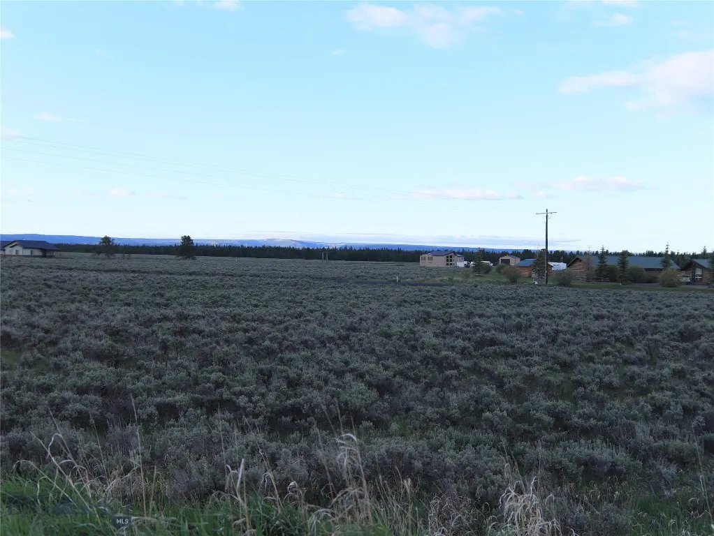 Nnn Catfish Lane, West Yellowstone, Montana 59758, West Yellowstone, Montana 59758, ,Land,For Sale,Nnn Catfish Lane, West Yellowstone, Montana 59758,403555