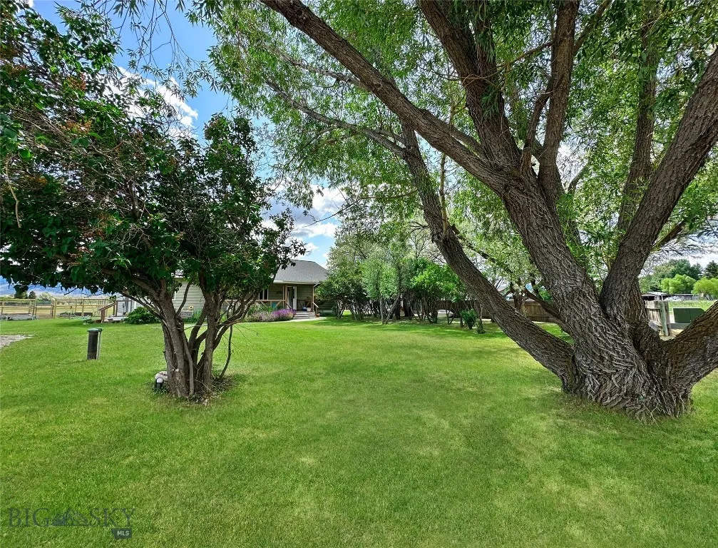 Mature Trees