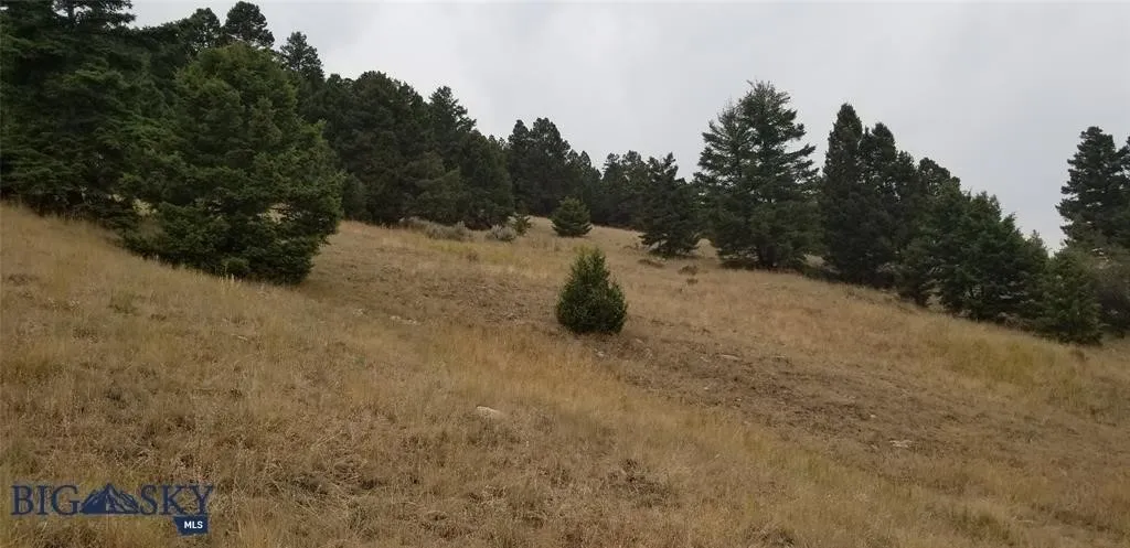 Tract H Butte Ski Club, Butte, Montana 59701, Butte, Montana 59701, ,Land,For Sale,Tract H Butte Ski Club, Butte, Montana 59701,403611