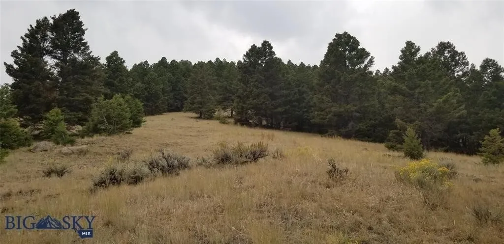 Tract H Butte Ski Club, Butte, Montana 59701, Butte, Montana 59701, ,Land,For Sale,Tract H Butte Ski Club, Butte, Montana 59701,403611
