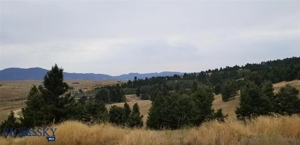 Tract H Butte Ski Club, Butte, Montana 59701, Butte, Montana 59701, ,Land,For Sale,Tract H Butte Ski Club, Butte, Montana 59701,403611