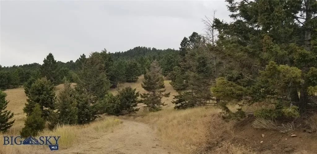 Tract H Butte Ski Club, Butte, Montana 59701, Butte, Montana 59701, ,Land,For Sale,Tract H Butte Ski Club, Butte, Montana 59701,403611