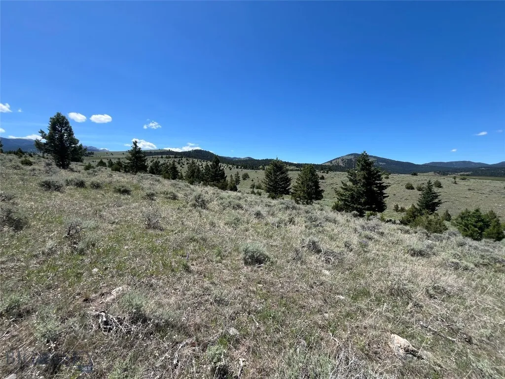 Tbd Cedar Hills Road, Whitehall, Montana 59759, Whitehall, Montana 59759, ,Land,For Sale,Tbd Cedar Hills Road, Whitehall, Montana 59759,403596