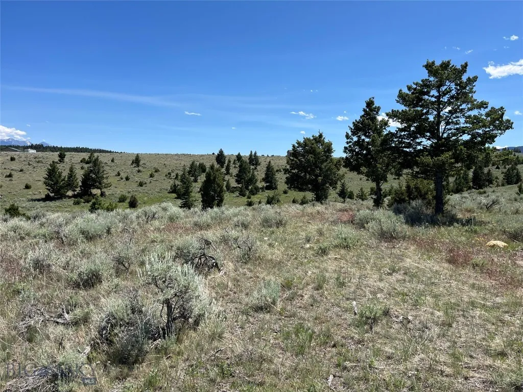 Tbd Cedar Hills Road, Whitehall, Montana 59759, Whitehall, Montana 59759, ,Land,For Sale,Tbd Cedar Hills Road, Whitehall, Montana 59759,403596