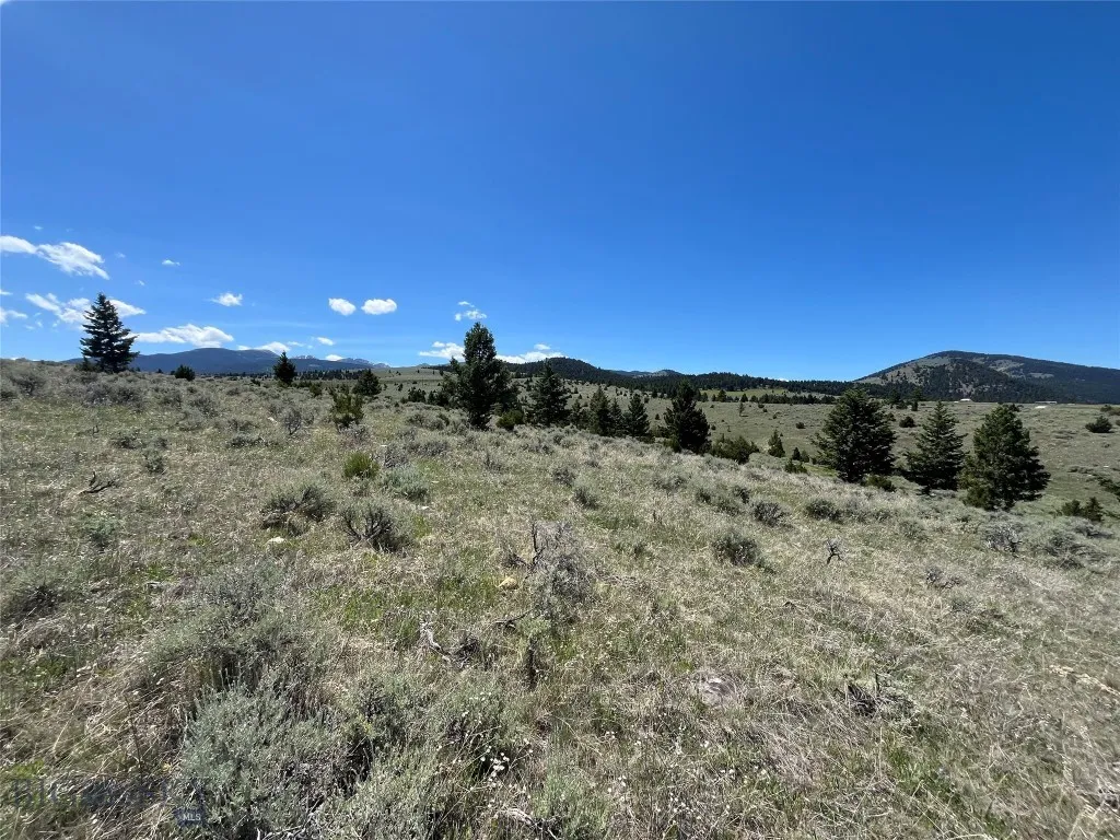Tbd Cedar Hills Road, Whitehall, Montana 59759, Whitehall, Montana 59759, ,Land,For Sale,Tbd Cedar Hills Road, Whitehall, Montana 59759,403596