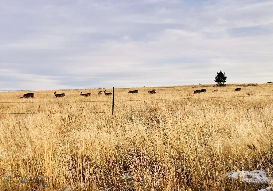 Tbd Cedar Hills Road, Whitehall, Montana 59759, Whitehall, Montana 59759, ,Land,For Sale,Tbd Cedar Hills Road, Whitehall, Montana 59759,403596