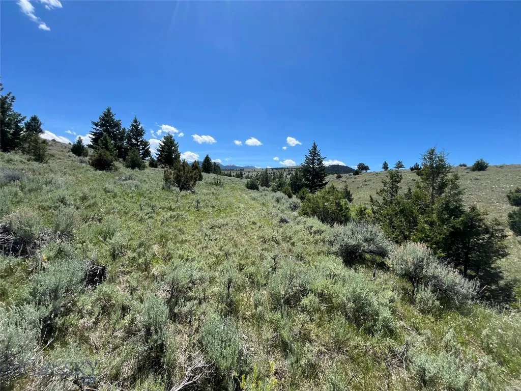 Tbd Cedar Hills Road, Whitehall, Montana 59759, Whitehall, Montana 59759, ,Land,For Sale,Tbd Cedar Hills Road, Whitehall, Montana 59759,403596