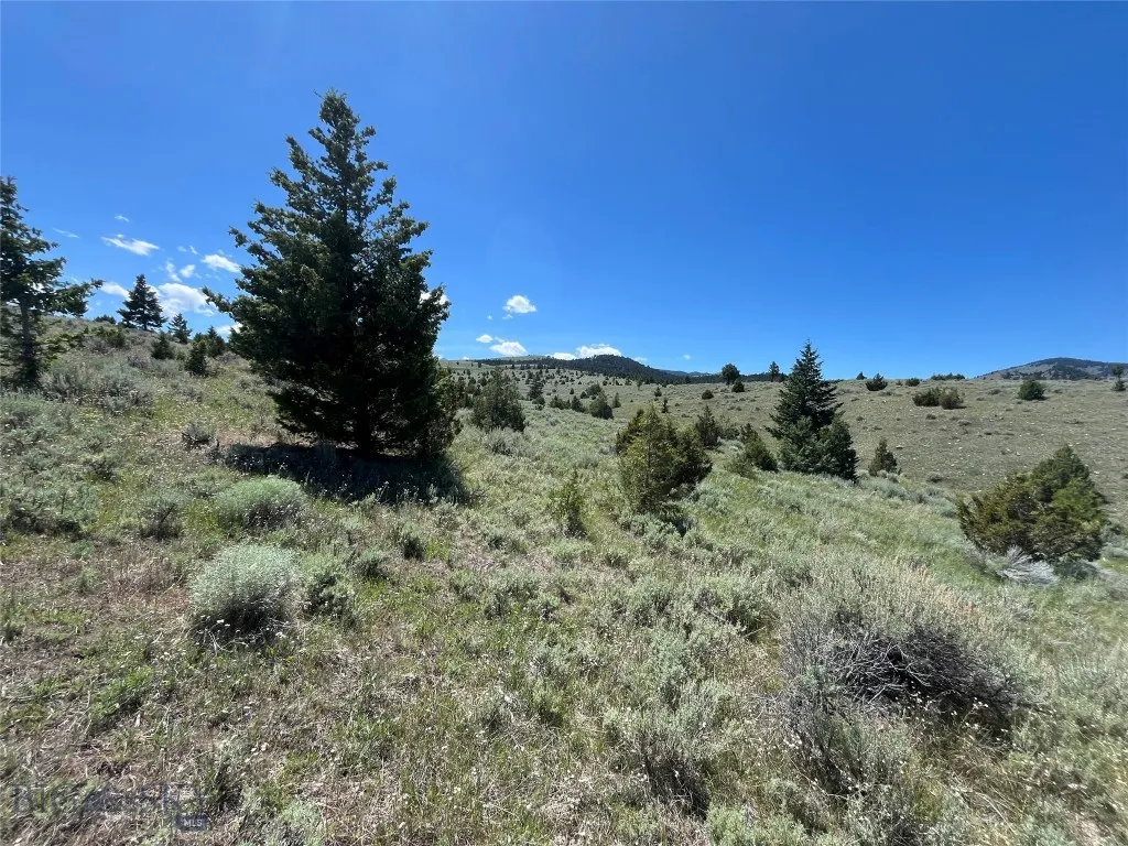 Tbd Cedar Hills Road, Whitehall, Montana 59759, Whitehall, Montana 59759, ,Land,For Sale,Tbd Cedar Hills Road, Whitehall, Montana 59759,403596