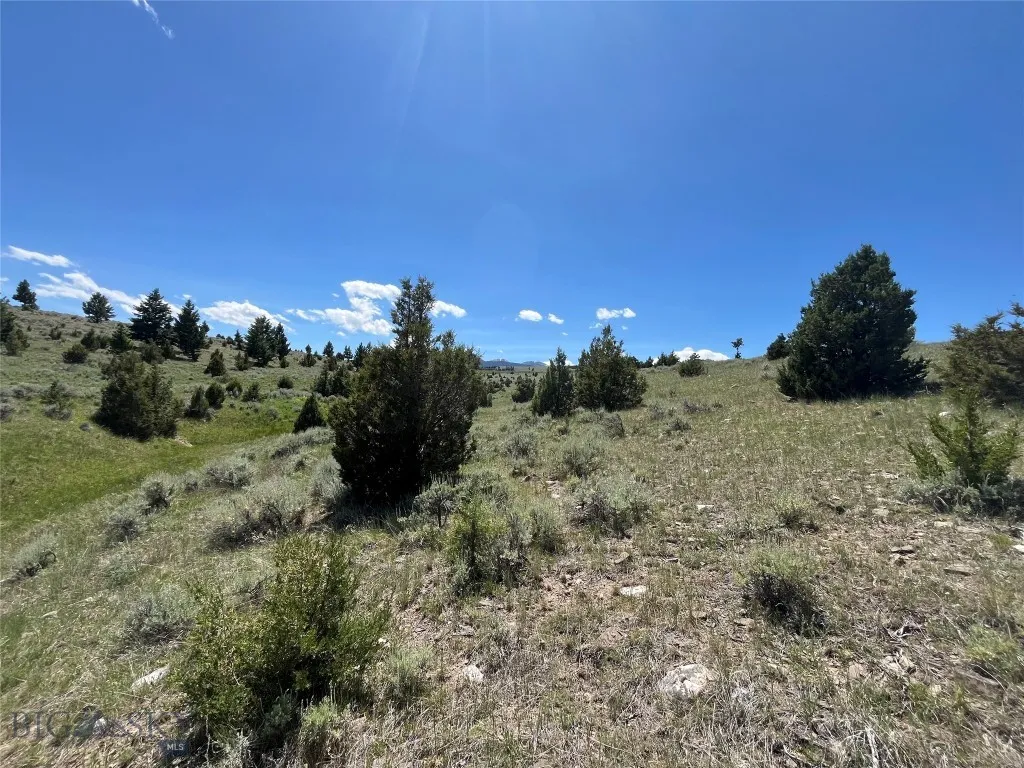 Tbd Cedar Hills Road, Whitehall, Montana 59759, Whitehall, Montana 59759, ,Land,For Sale,Tbd Cedar Hills Road, Whitehall, Montana 59759,403596